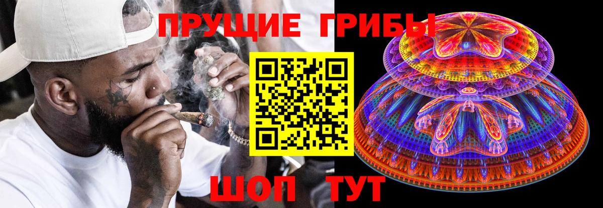 Галлюциногенные грибы прущие грибы  Вход с VPN  Рославль  Псилоцибиновые грибы Cubensis 